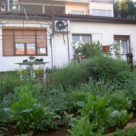 Apartman Thea Apartment Opatija Exterior foto