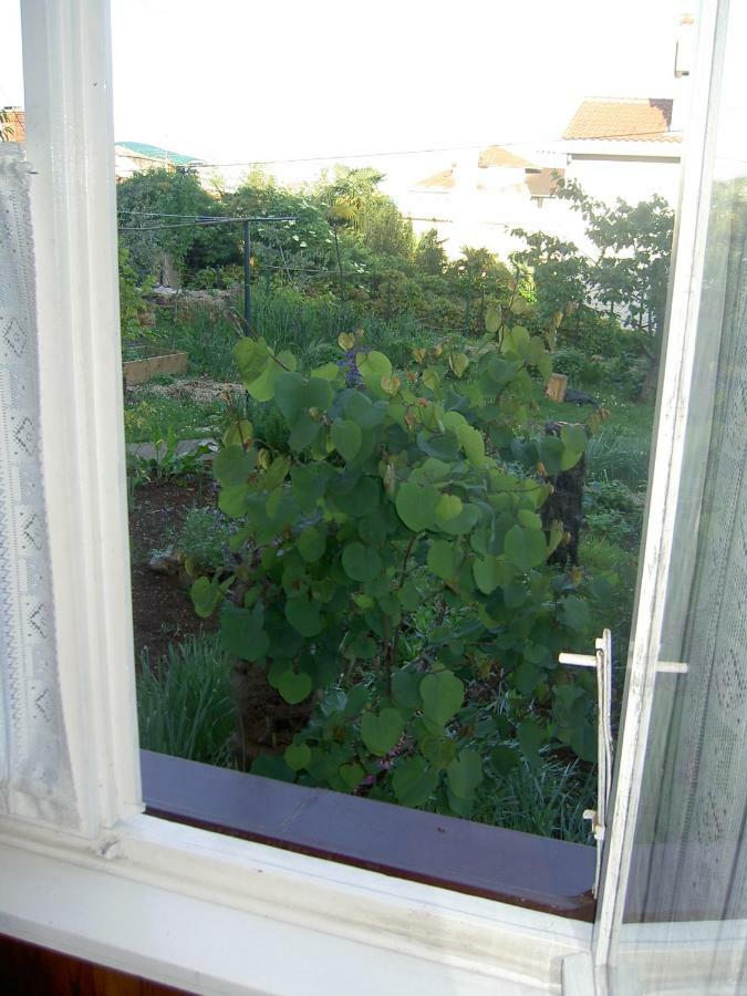 Apartman Thea Apartment Opatija Exterior foto