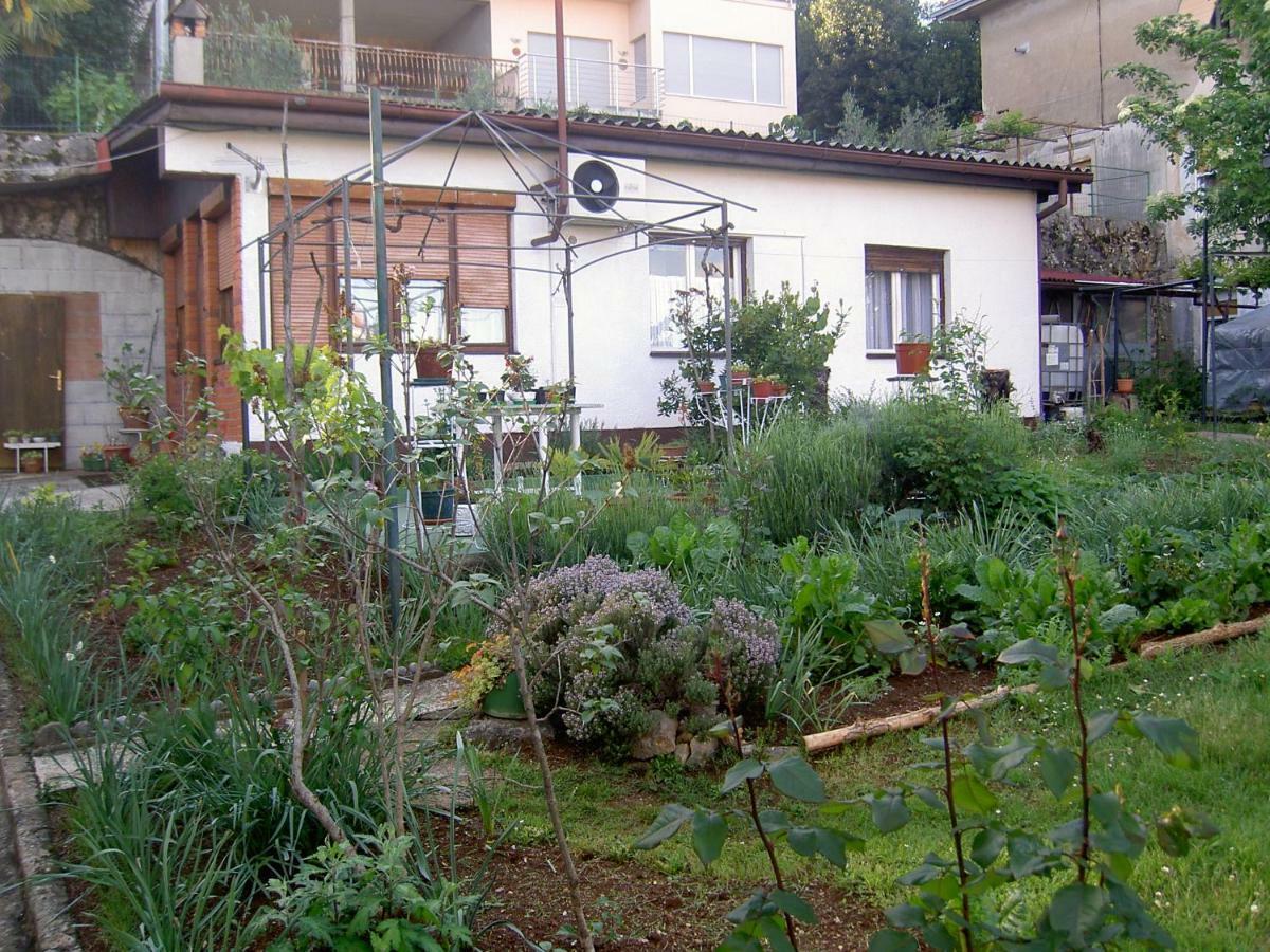 Apartman Thea Apartment Opatija Exterior foto